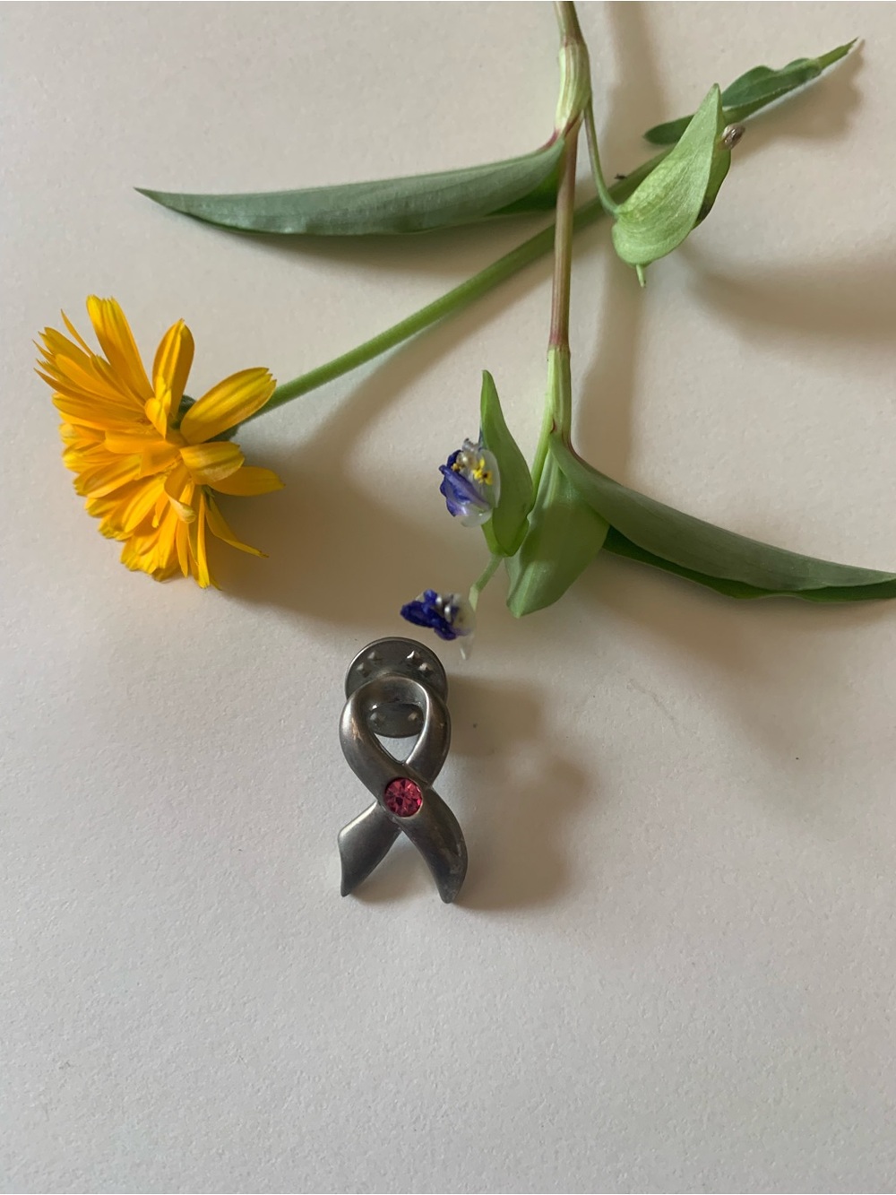 Pink Ribbon Accent Stainless Steel Pin Brooch - Women Jewelry